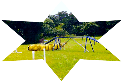 Agility course
