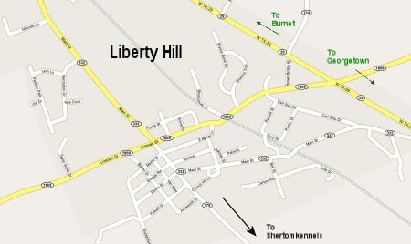 DETAIL OF LIBERTY HILL